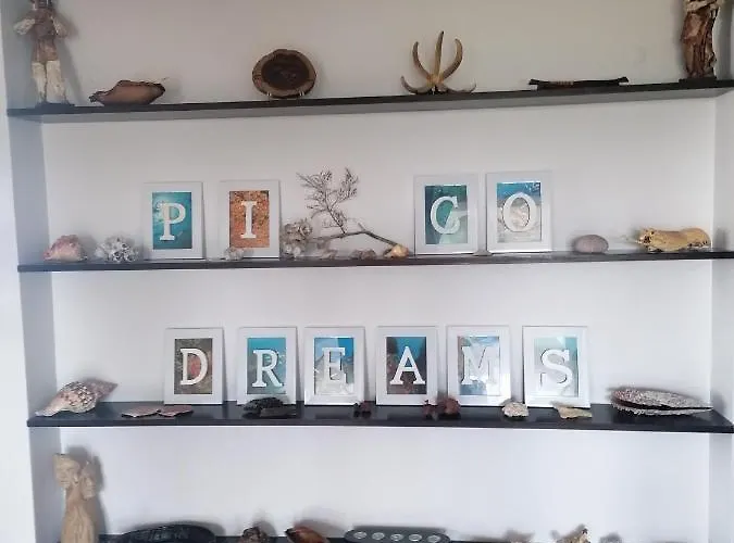 Pico Dreams 招待所