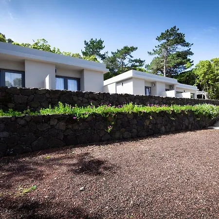 Pico Dreams בית הארחה São Roque do Pico