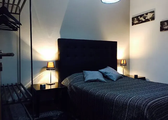 Pico Dreams 상호케도피코