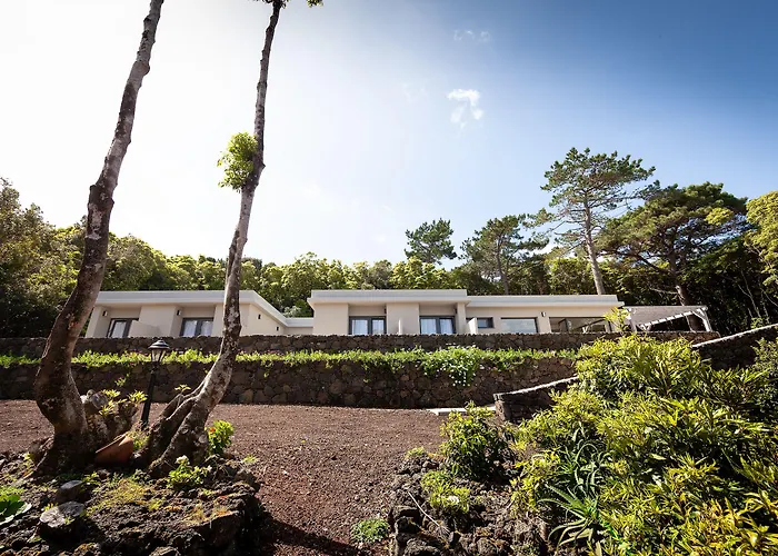 Pico Dreams 게스트하우스 상호케도피코