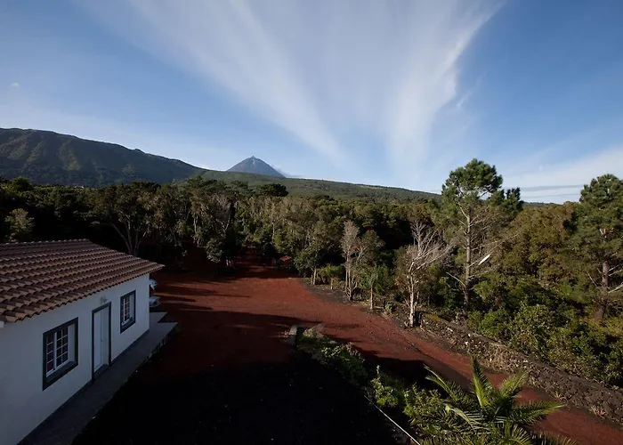 Guest house Pico Dreams