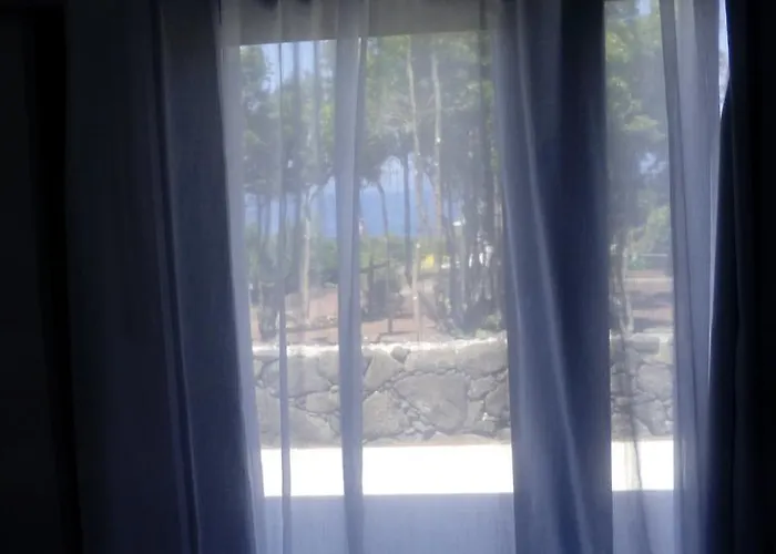 Pico Dreams 게스트하우스