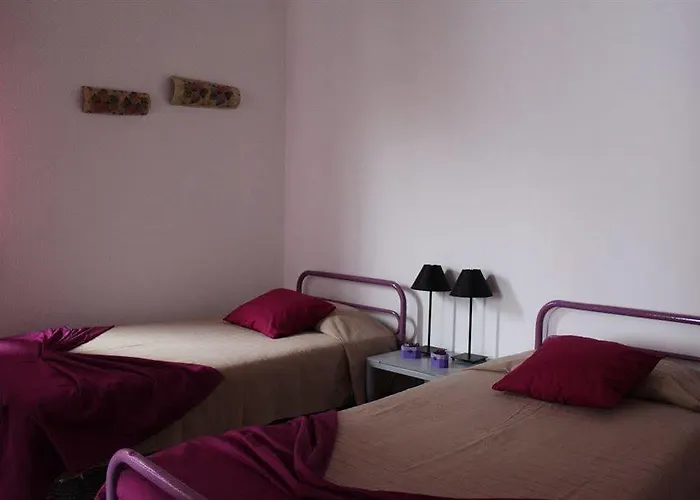 Pico Dreams 상호케도피코